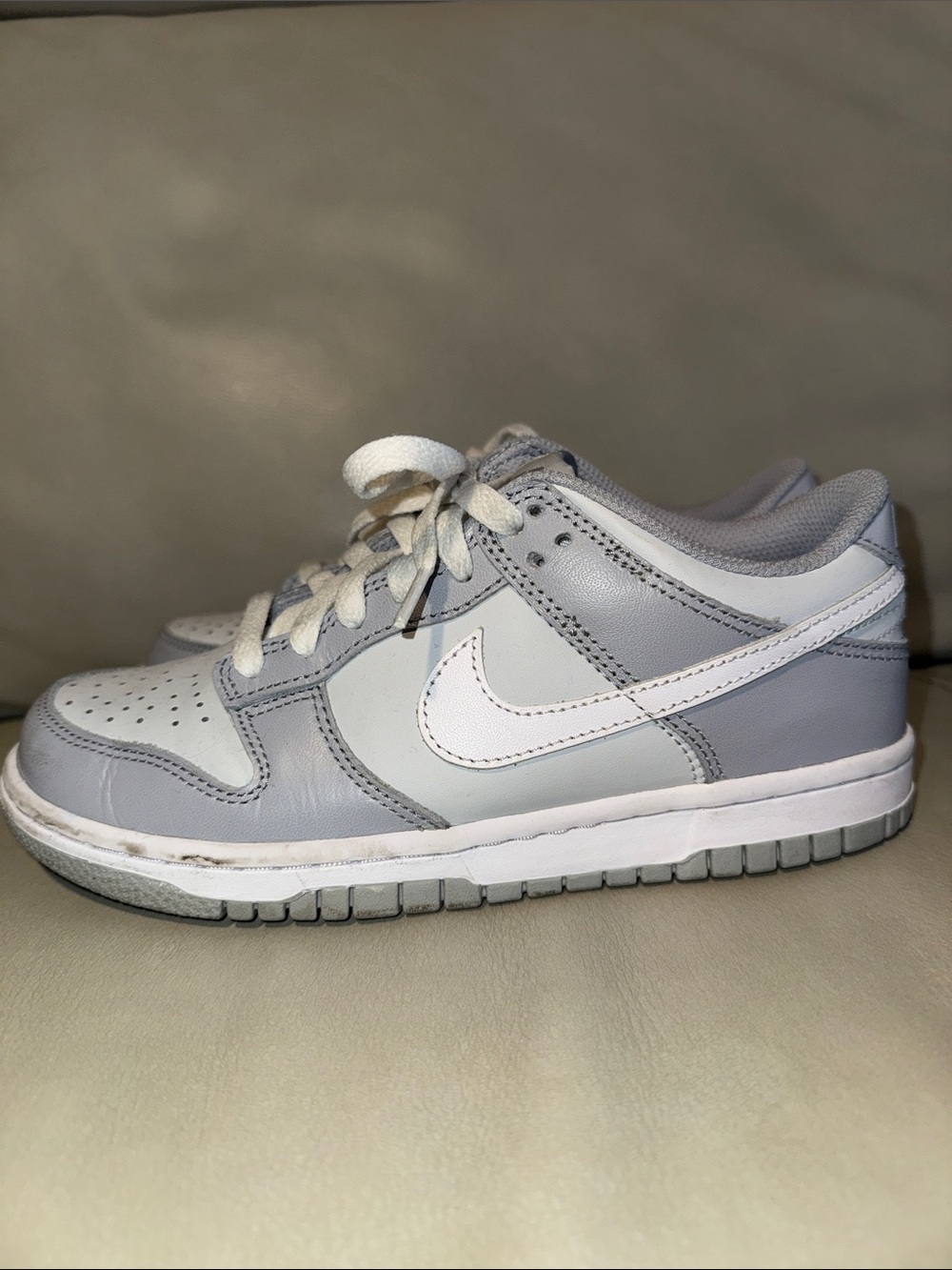 Kids Nike Dunks worn once.